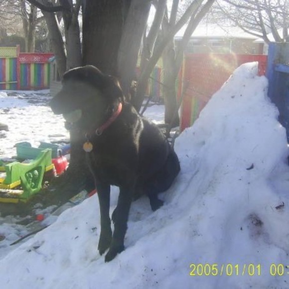 Meet your Posher, Andrea - Picture 1 of 1